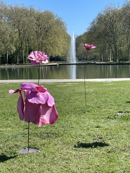 En chemin vers les cerisiers en fleurs