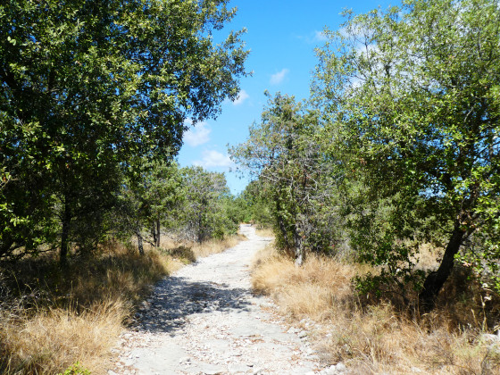 En chemin