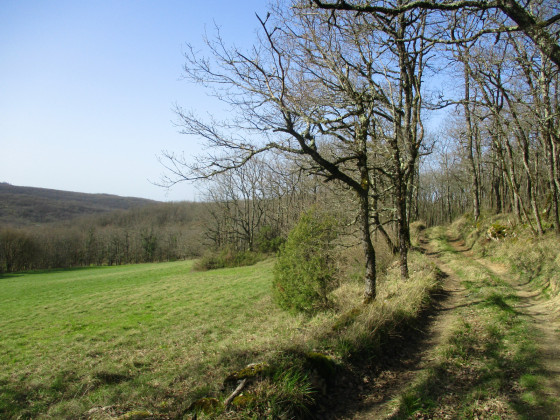 En chemin