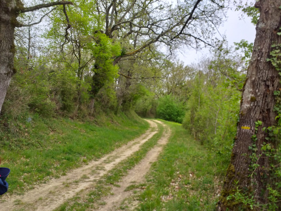 En chemin