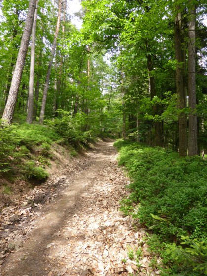 en chemin