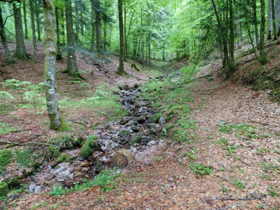 En chemin