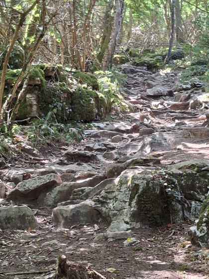 en chemin