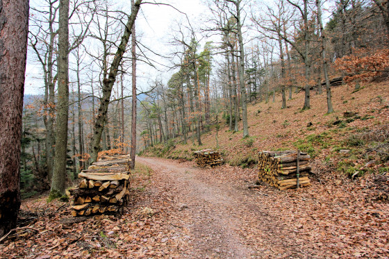 En chemin