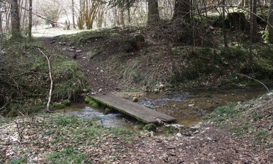 En contebas de la Martinière
