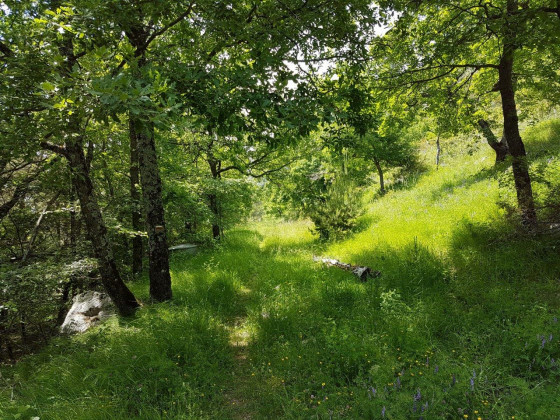 En descendant apr&egrave;s la cabane d'Adom