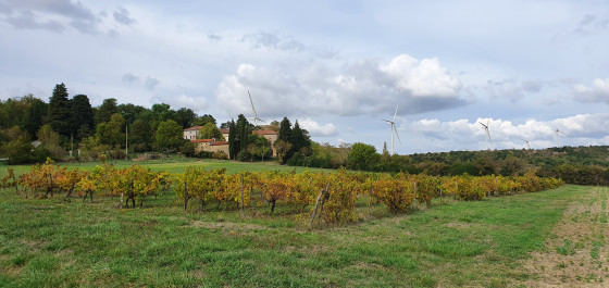 En descendant de l'Envigne