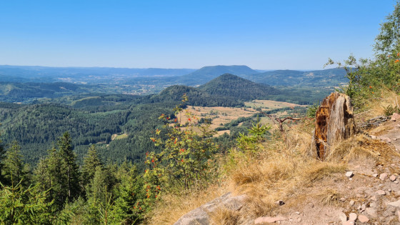 En descendant depuis la tour En descendant depuis la tour