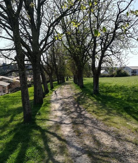 En descendant vers Bassens