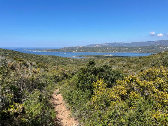 En descendant vers la baie de Figari