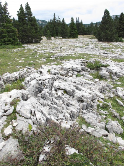En descendant vers la Bergerie