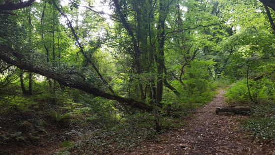 En descendant vers le Vallon du Costour