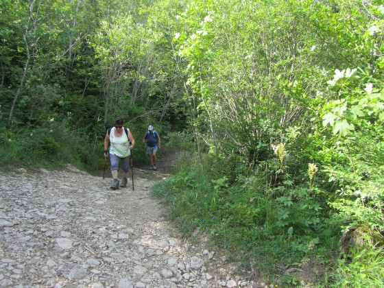 En direction d\'Orange