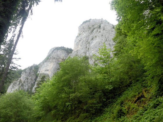 En direction de la Revenne