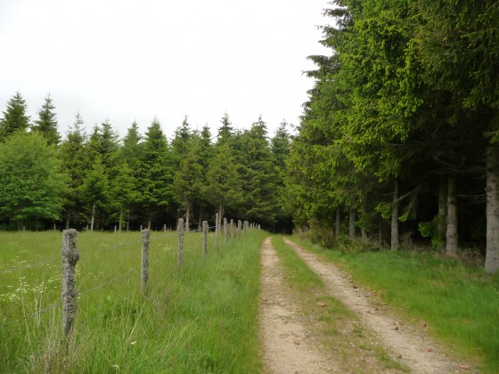 En direction du bois de la Charousse