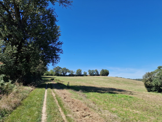 En direction du Cami Del Pendut.