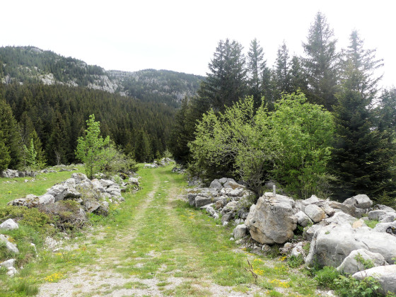 En direction du Col de Solaison