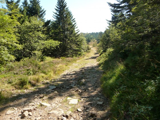 En direction du crêt du rachat En direction du crêt du rachat