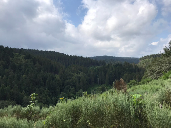 En direction du hameau de Vernazon