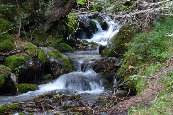 En eau trouble...