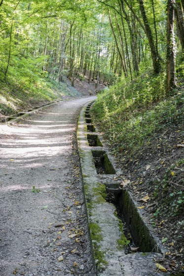 En forêt