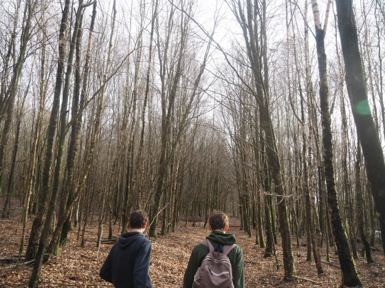 En forêt