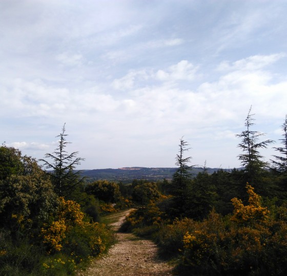 En garrigue. Après la table d\'orientation