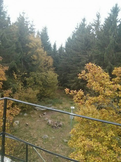 En haut de la tour Hering
