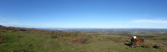 En haut du Suhalmendi