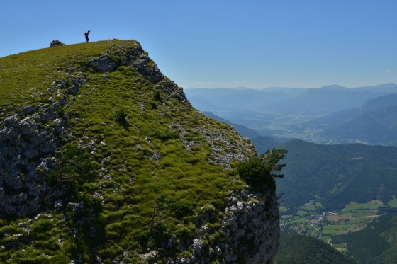 en haut