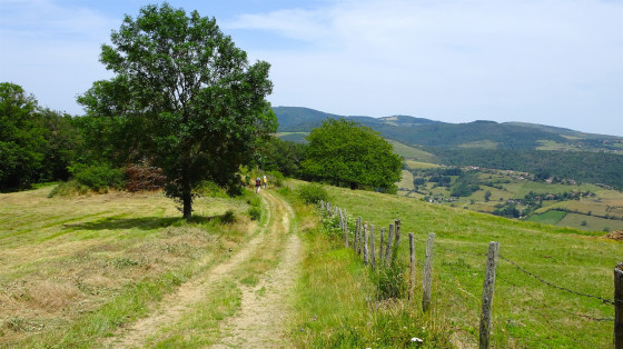 En lisière du Bois des Brosses