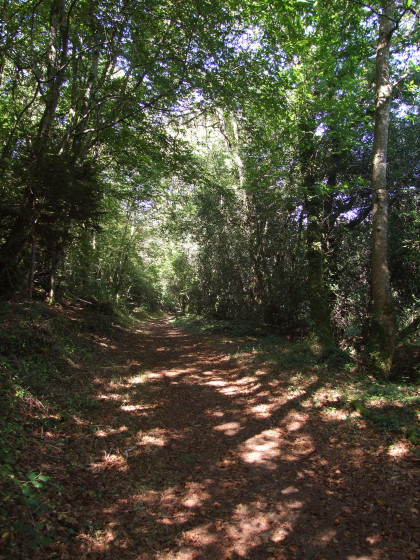 En lisière