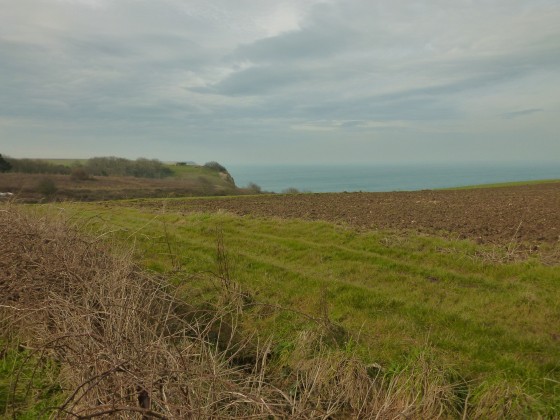 En longeant de loin les falaises