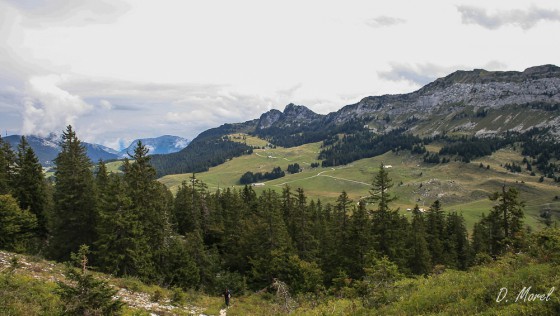 en montant à Tête Noire