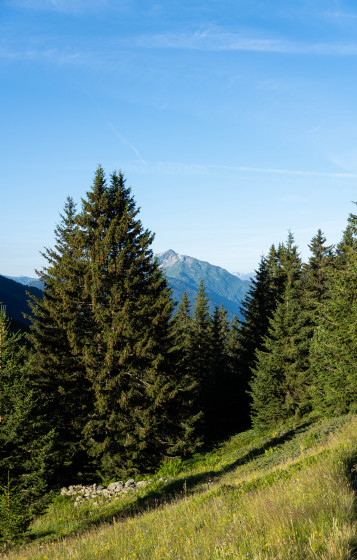En montant au Col de Bâthie