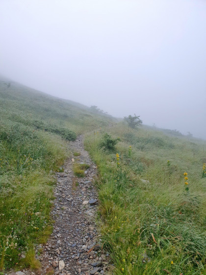 En montant dans le Vallon d\'Arrious