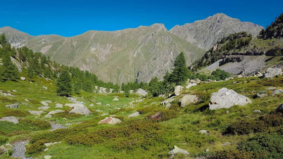 En montant vers l\'Arpette