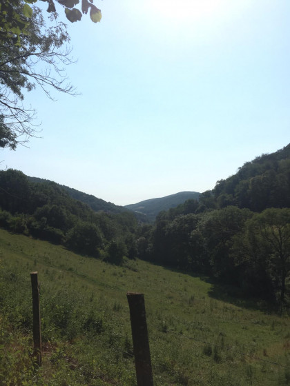 En montant vers la Brally