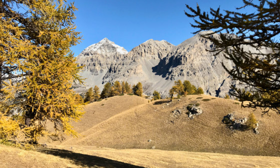 En montant vers le Lac Bellety, les rois mages sont dans le rétro.