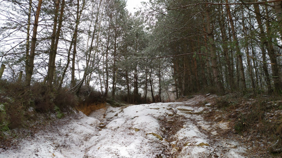 En montant vers Roc Labrazie