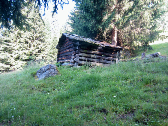 En montant vers Zettersfeld