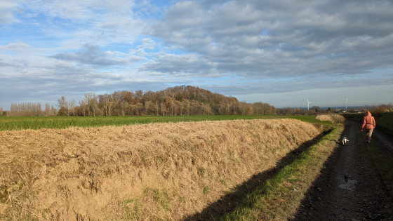 en novembre