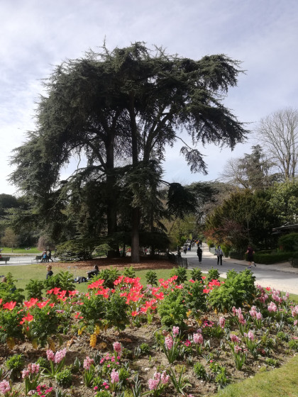 En parcourant le parc Montsouris