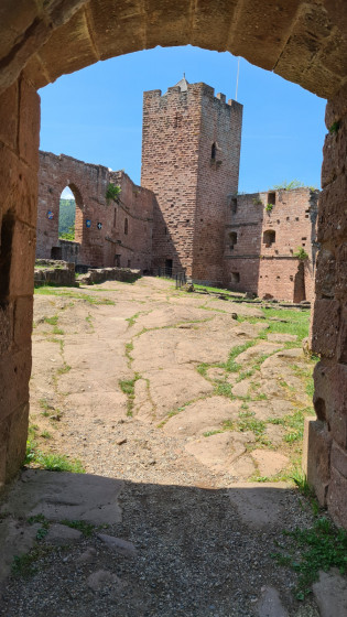 En pénétrant dans la cours du château de Wangenbourg.