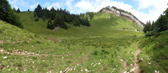 en plein dans l'alpage... hors circuit mais sur sentier balisé