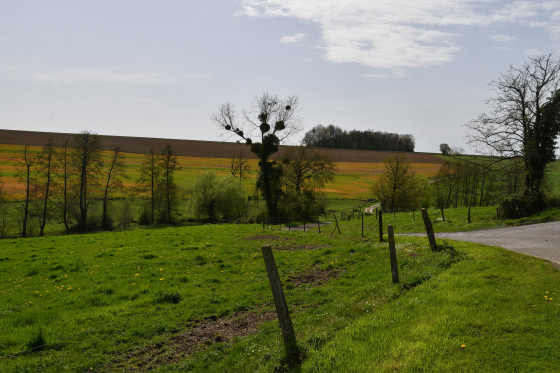 En quittant Coingt