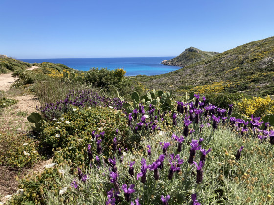 En quittant le bord de mer
