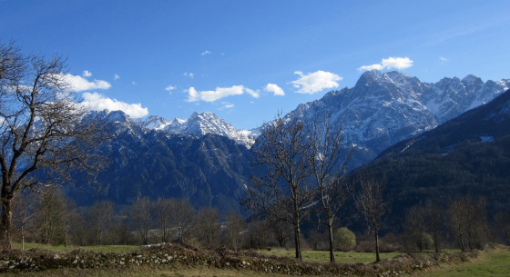 En regardant en arrière (printemps)