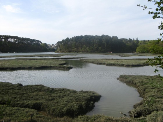 Rivière du Bono