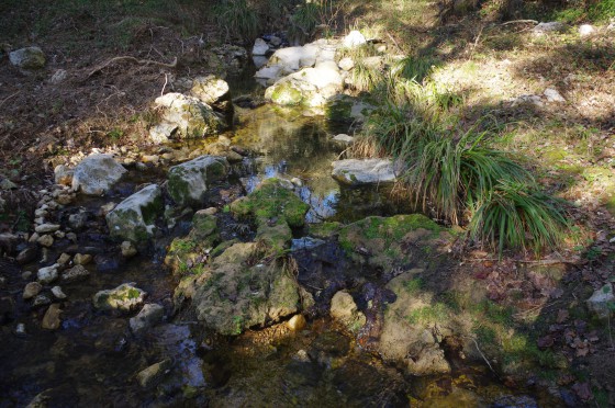 En remontant le Figueiret